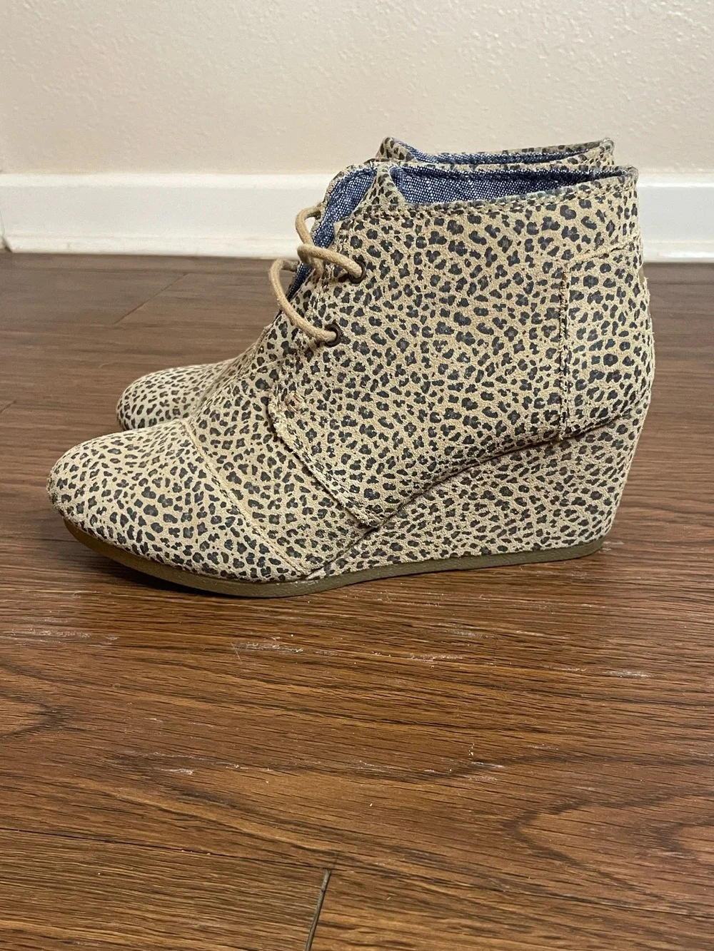 Toms 🐆 leopard